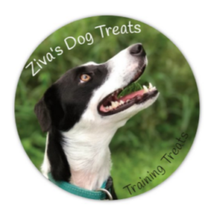 Logo Ziva_1612847110